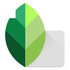 Snapseed MOD APK – Unlock the Premium Edition for Free (2024)