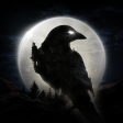 NIGHT CROWS APK 1.8.10